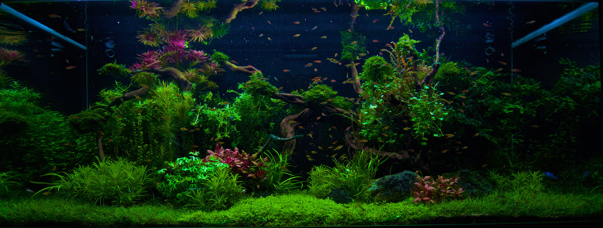 You ask, we answer: What's best way to an aquascape?