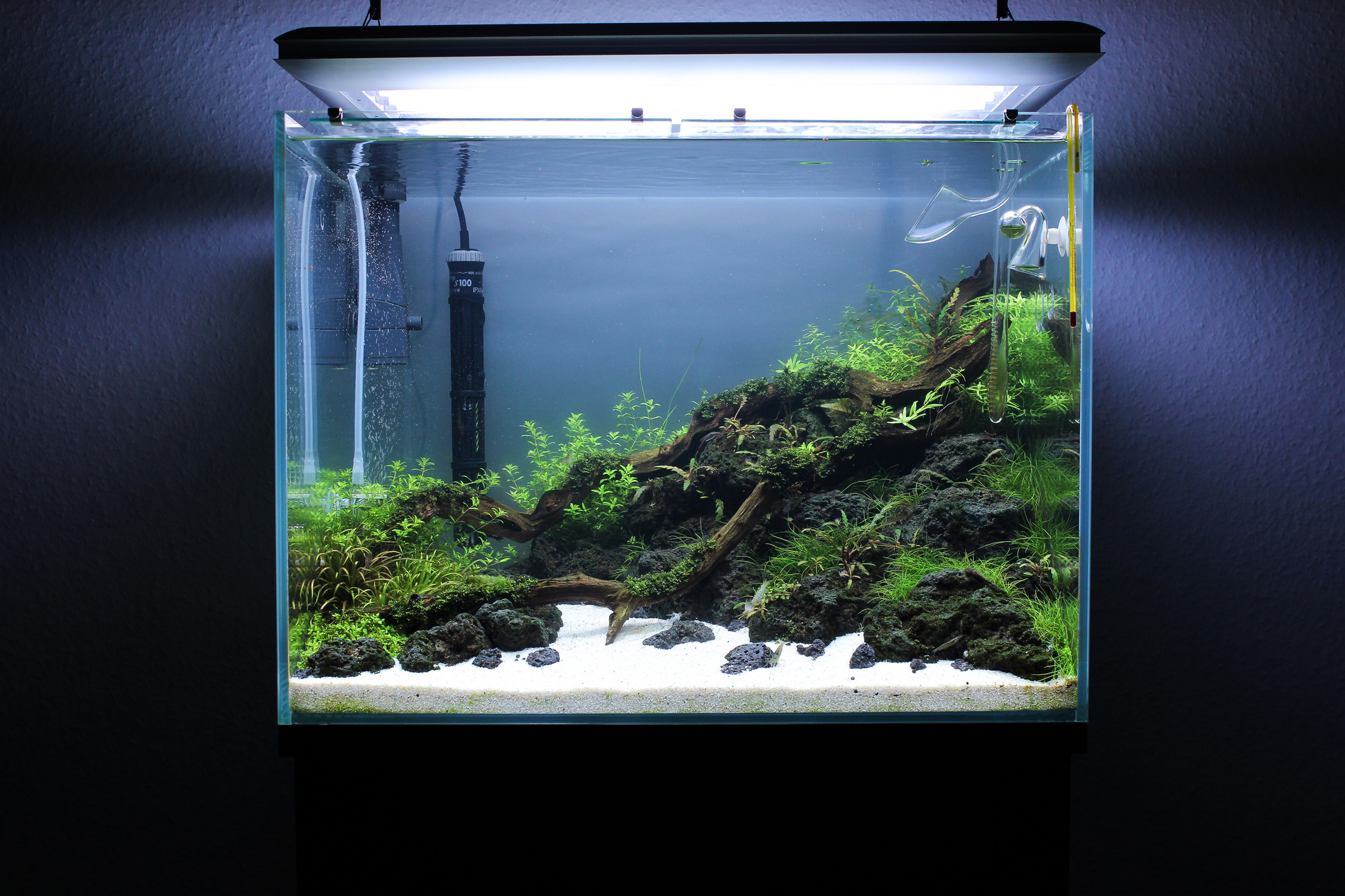 The world’s best aquascapers use JBL products