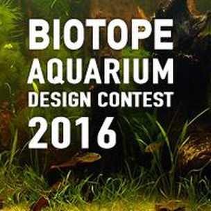 75 Aquarium Design Competition Terbaik