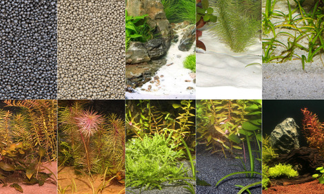 The JBL Substrates for Aquariums at a Glance