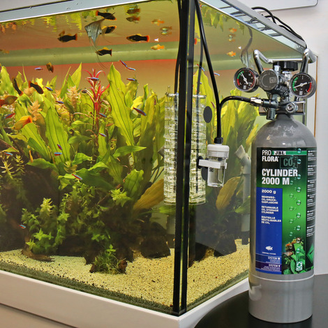 Useful information about your aquarium