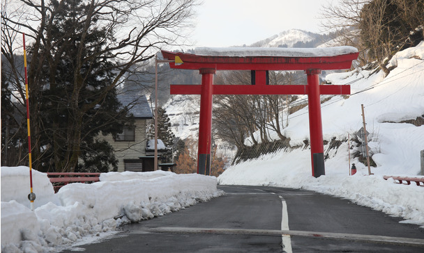 Japan Part 2 By Car From Tokyo to the Koi Breeders in the