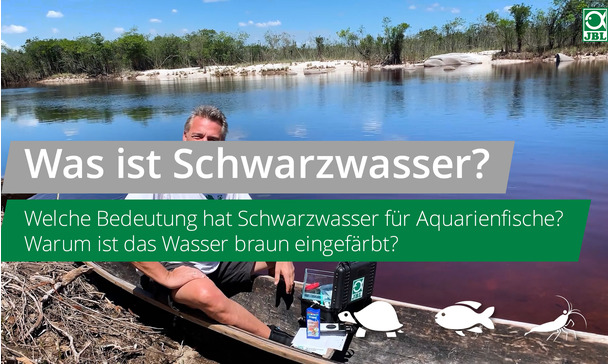 JBL TV #15: Was ist Schwarzwasser? Welche Vorteile hat Schwarzwasser für  Ihr Aquarium?