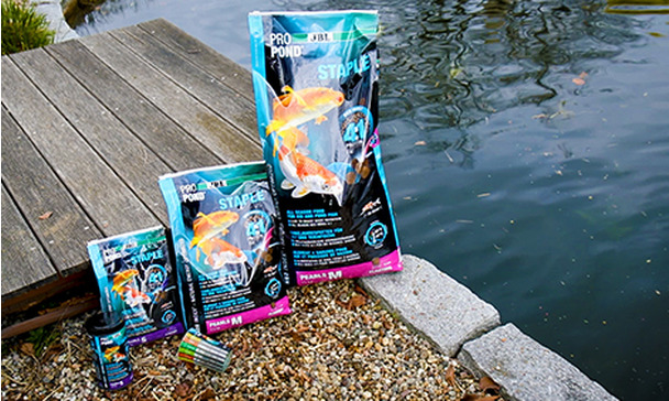 JBL PROPOND STAPLE - our best all-season food for your pond fish in pellet  form