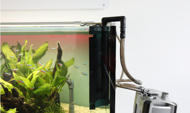 Filter maintenance made easy – It's time to clean the aquarium
