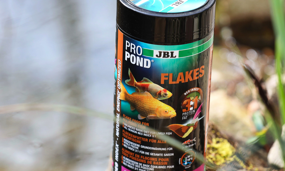 JBL Weekend - Aliment complet de week-end pour poissons d'aquarium —